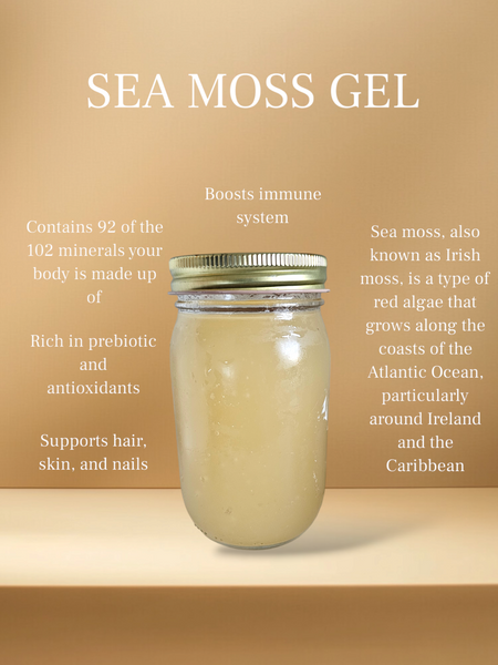 Sea Moss Gel 16oz