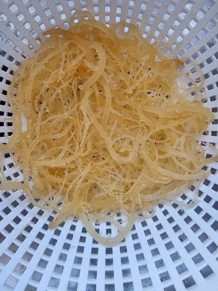 Sea Moss Gel 16oz